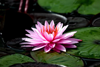 �й���7790�ط�����(�ɷ�)���޹�˾-�ٷ���վ