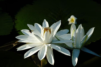 �й���7790�ط�����(�ɷ�)���޹�˾-�ٷ���վ