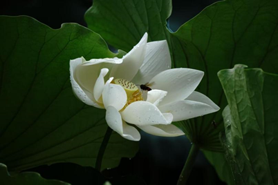 �й���7790�ط�����(�ɷ�)���޹�˾-�ٷ���վ